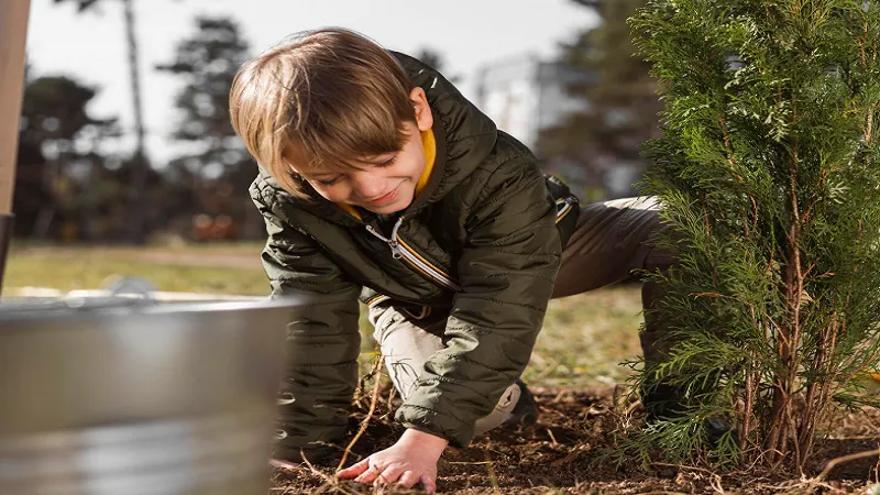 Savingtheplants .com: A Complete Guide to Protecting Plants and Promoting Green Living