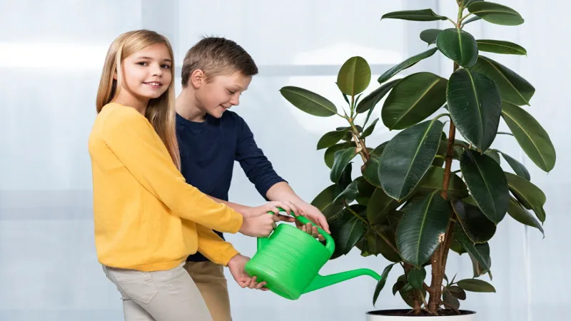 Savingtheplantscom – A Complete Guide to Plant Conservation and Awareness