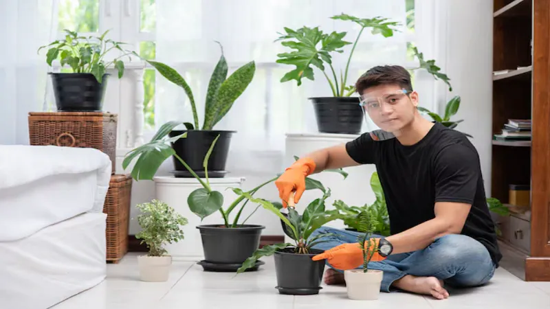 https//savingtheplants.com