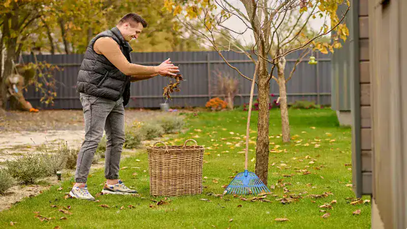 Decadgarden Yard Tips by DecoratorAdvice