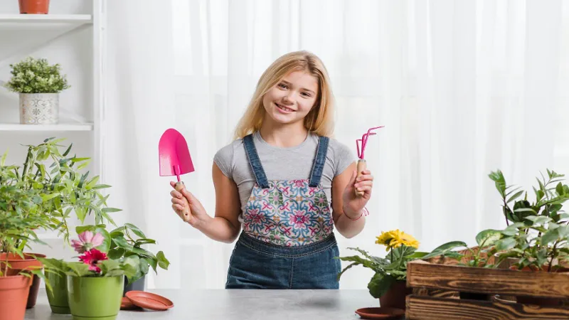 Home Tips and Tricks Decadgarden