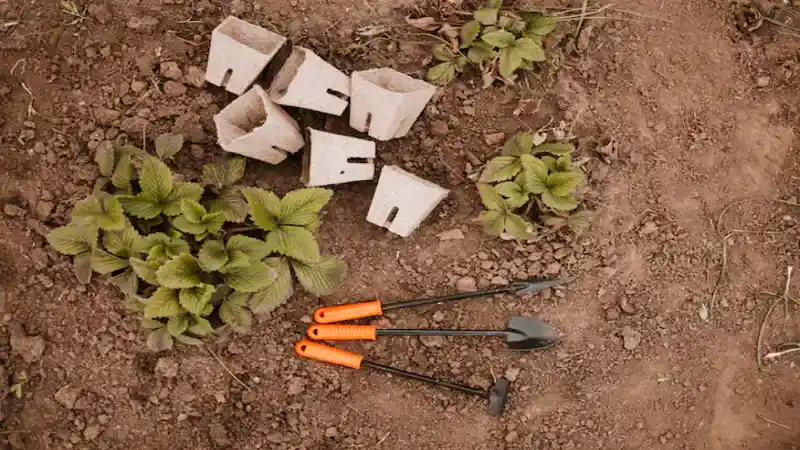 Backyard Hacks Decadgarden